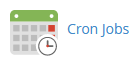 cPanel Cron Job icon